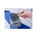 IRWIN Set de burghie cu șuruburi 25 de bucăți HSS PRO cilindric (1-13 mm)