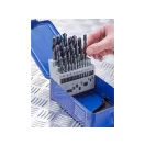 IRWIN Set de burghie cu șuruburi 25 de bucăți HSS PRO cilindric (1-13 mm)