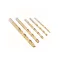 IRWIN Set de burghie cu șuruburi 5 bucăți HSS TiN cilindric (4-5-6-8-10 mm)