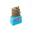 Set de burghie cu șuruburi 19 părți 1,0-10,0 mm HSS