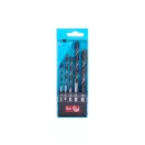 Set de burghie pentru lemn 8 piese (4-5-6-8-10 mm)