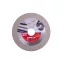 FESTA Disc diamantat pentru tăiere/șlefuire sticlă 115 x 22,2 mm