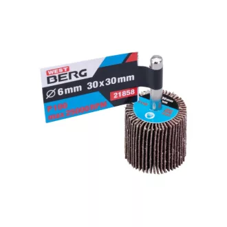 Disc de șlefuit cu clapete cu știft 30 x 30 x 6 mm / P100