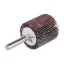 Disc de șlefuit cu clapete cu știft 30 x 30 x 6 mm / P120