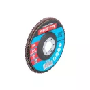 FESTA Disc de șlefuit clapete 115 x 22,2 mm / P60 inox