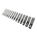 Set piercing piele 15 piese