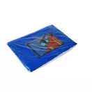 Foaie de acoperire 20 m2 (4 x 5) PE standard