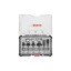 Set de frezare pentru margini și profil BOSCH 6 piese cu mandrina de 8 mm