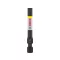 BOSCH PRO Capete bit de impact T40 x 55 mm 1/4" (2 buc)