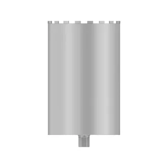   BOSCH Coroană diamantată umedă 300 x 450 mm Standard pentru beton 1 1/4" UNC