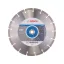 BOSCH Disc de tăiere cu diamant 300 x 3,1 x 10 x 20,0/25,4 mm segmentat Standard for Stone