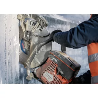   BOSCH PRO Disc diamantat de tăiere 450 x 3,6 x 12 x 25,4 mm segmentat