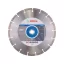 BOSCH Disc de tăiere cu diamant 300 x 3,1 x 10 x 22,2 mm segmentat Standard pentru piatră
