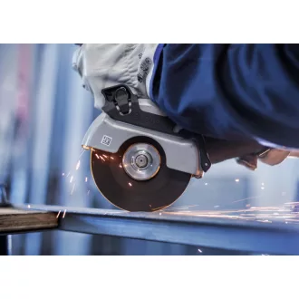   BOSCH PRO Disc de taiere pentru inox/metal 125 x 1,6 x 22,2 mm St. Steel & Metal in ambalaj cu galeata (100 buc)