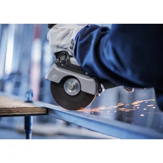   BOSCH PRO Disc de taiere pentru inox/metal 125 x 1,6 x 22,2 mm St. Steel & Metal in ambalaj cu galeata (100 buc)
