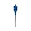 BOSCH EXPERT Burghiu plat pentru lemn 24 x 152 mm 1/4" Hex
