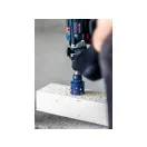 BOSCH EXPERT Disc decupator pentru materiale de construcții, din carbură, diametru 57 mm