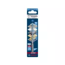 Burghiu BOSCH EXPERT HEX-9 Multiconstruction 5,5 x 60/100 mm cu suport pentru burghie de 1/4"