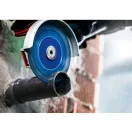 Disc de tăiere multiplu BOSCH EXPERT 125 x 22,2 mm X-LOCK