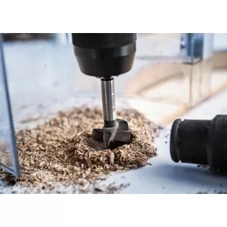   BOSCH EXPERT Burghiu pentru șuruburi cu bandă 35 x 60/90 x 10 mm