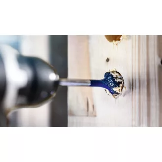   BOSCH EXPERT Burghiu plat pentru lemn 18 x 152 mm 1/4" Hex Self Cut Speed