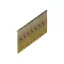 WOODPECKER Cuie cu cap plat 3,1 x 75 mm 34° cu inel, lucios (2000 buc)