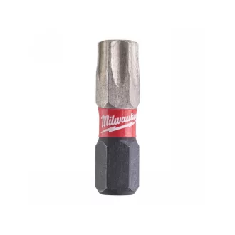 MILWAUKEE vârf vârf torx TX40 x 25 mm (2 buc)