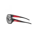 Ochelari de protecție de culoare fum MILWAUKEE Performance