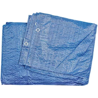 Pânză de acoperire Eco 6 m2 (2 x 3 m) 57 g/m2 albastru