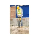 DEWALT Ciocan demolator HEX 30 mm 1600 W (carcasa rulanta) D25961K