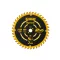 DEWALT ELITE Disc de ferăstrău pentru lemn 184 x 16 x 1,6 mm / 40T