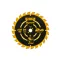 DEWALT ELITE Disc de ferăstrău pentru lemn 184 x 16 x 1,6 mm / 24T