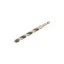 DEWALT BLACK & GOLD Burghiu spiralat 10,0 x 138/100 mm HSS cu prindere 1/4" HEX