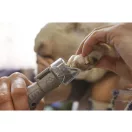 DREMEL Set de pilire unghii pentru animale de companie 7020-PGK
