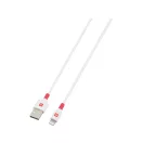 Încărcător USB SKROSS și cablu de date 2 m (fulger)