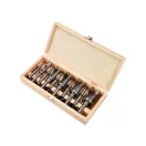 YATO Set de burghie Forstner 10 bucăți 15 - 35 mm