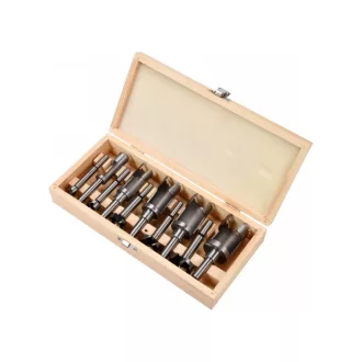 YATO Set de burghie Forstner 10 bucăți 15 - 35 mm