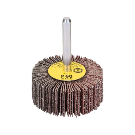BOSCH Polizor cu lamela 50 x 20 x 6 mm / P60