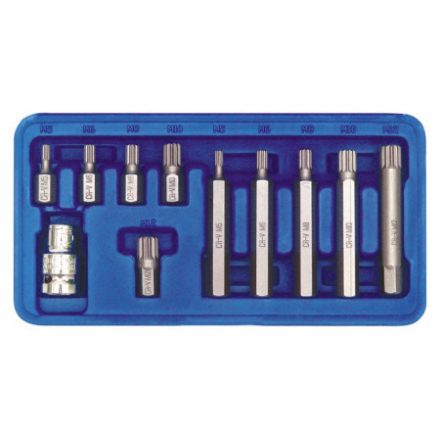 Set de biți VOREL 11 piese Spline M5 - M12